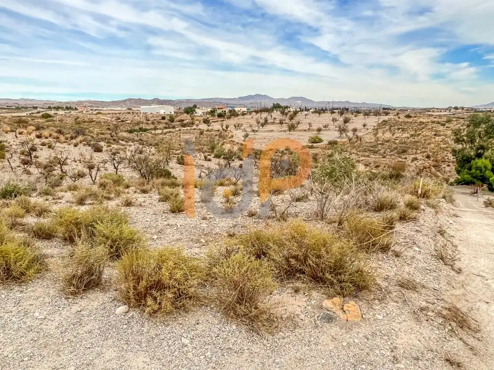 Terrain rustique à vendre à Huércal-Overa, imagen 4