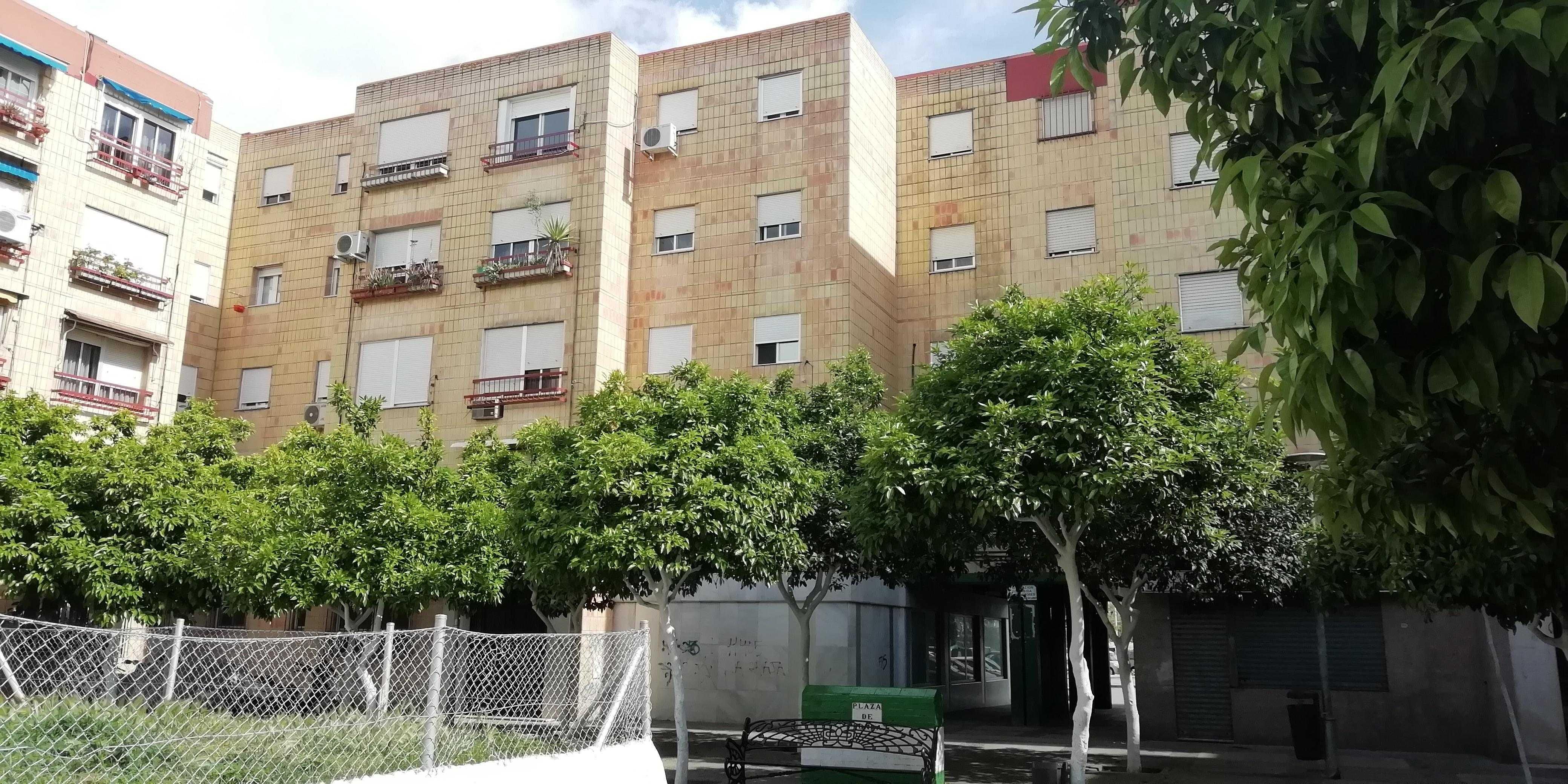 Exterior view of Flat for sale in Jerez de la Frontera