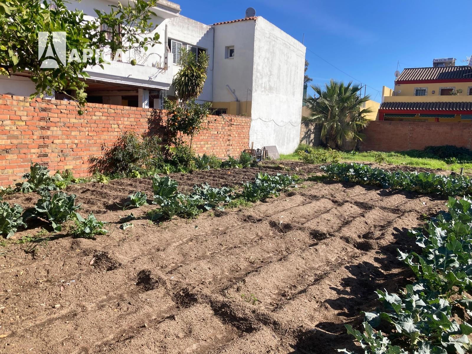 Land for sale in Los Barrios