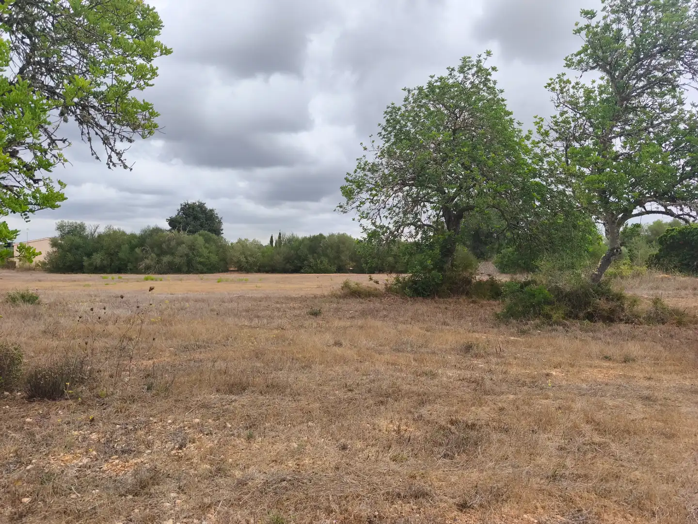 Terrain résidentiel à vendre à Algaida, imagen 5