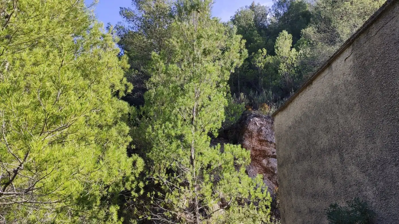 Finca rústica en venta en L'Atzúbia