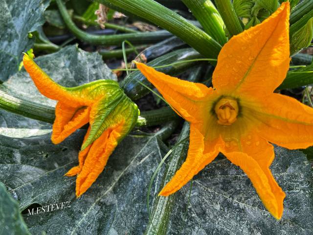 Terreno en Venta en Calle Marqués de Estella, 24 en Lújar