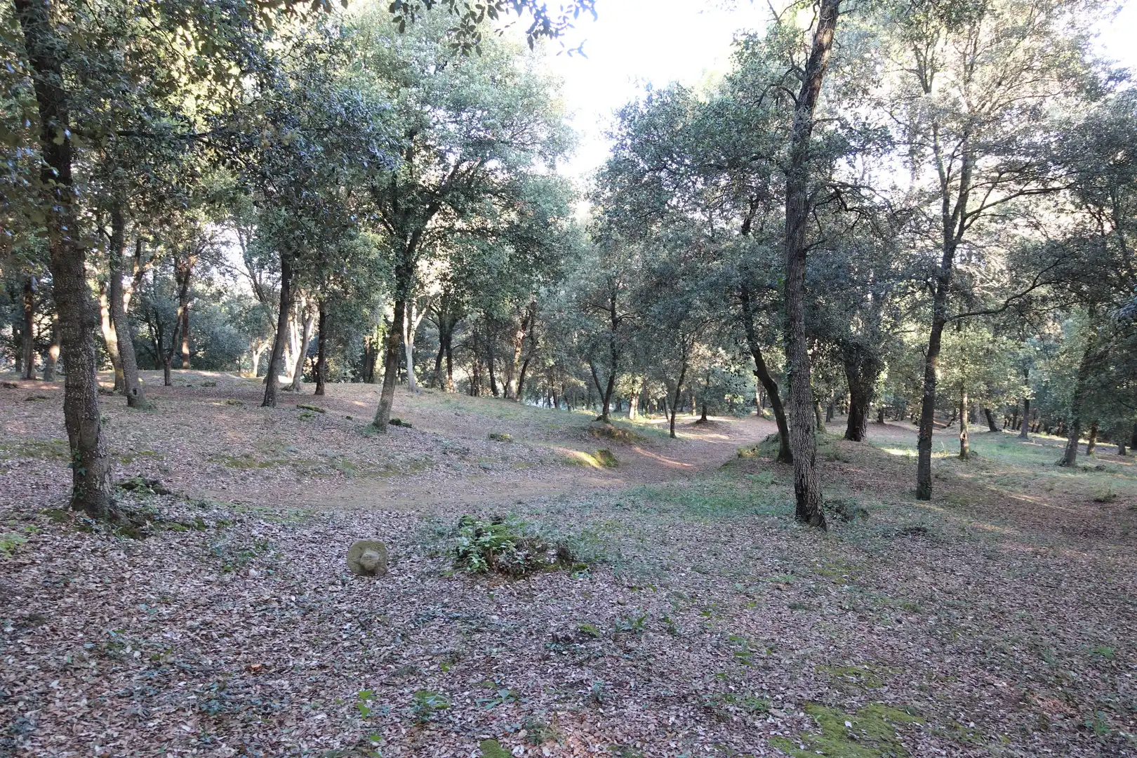 Terreno residenziale in vendita a Diseminado Afueras, imagen 6