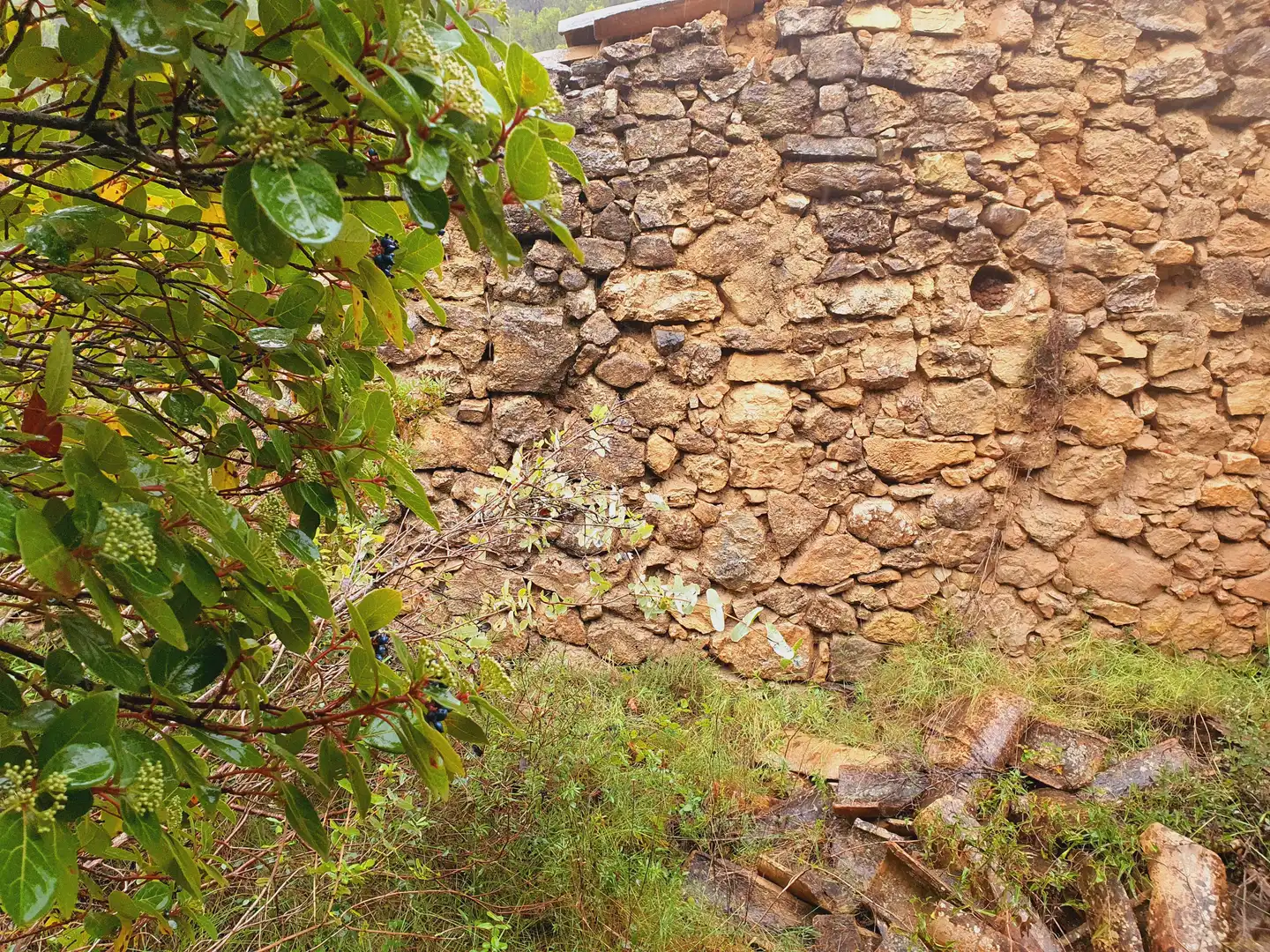 Maison à vendre à Benifallet, imagen 10