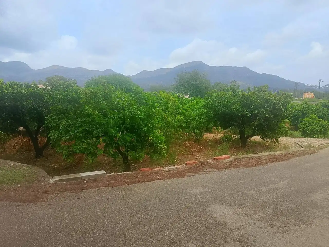 Terrain rustique à vendre à Calle Cami Rural Rotova, imagen 32