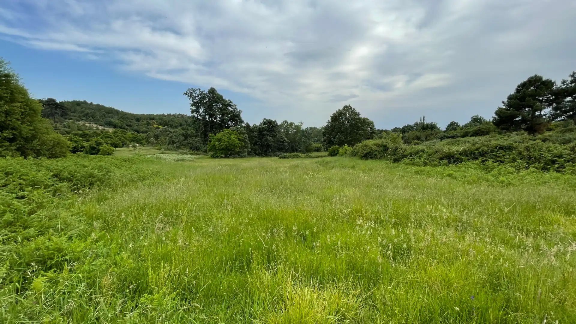 Grundstücke zum Verkauf in El Arenal 
