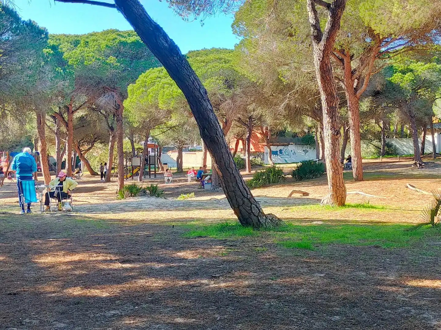 Jardí de Casa o xalet de lloguer en Chiclana de la Frontera amb Jardí privat, Terrassa i Piscina
