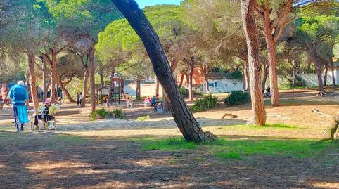 Photo 5 of House or chalet to rent in Carretera de la Barrosa, 256, Novo Sancti Petri, Cádiz