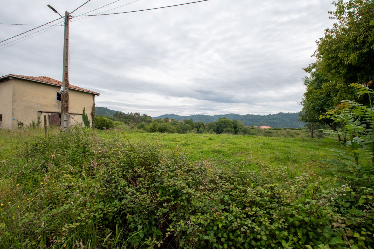 House or chalet for sale in Villaviciosa  with Private garden