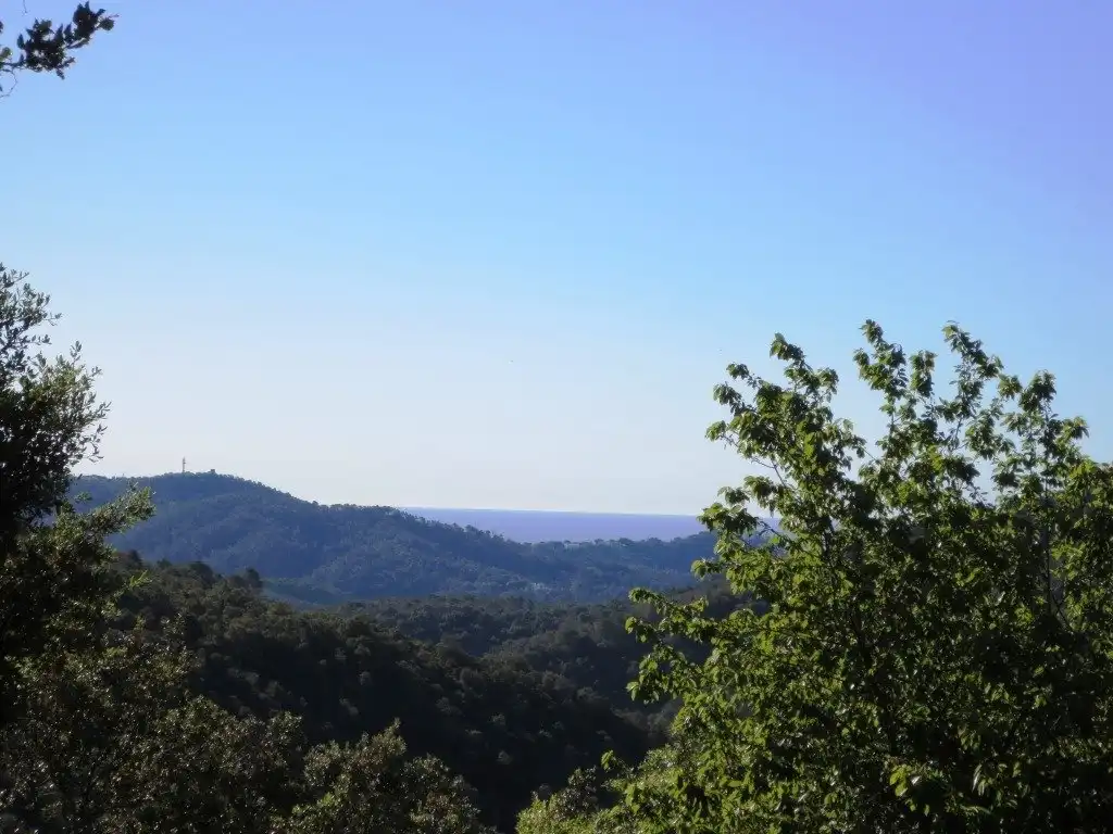 Maison rustique à vendre à Camino de Ca l'Esteve Burgada, imagen 6