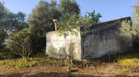 Foto 3 de Finca rústica en venta en Eucaliptus - Poble Nou del Delta, Amposta