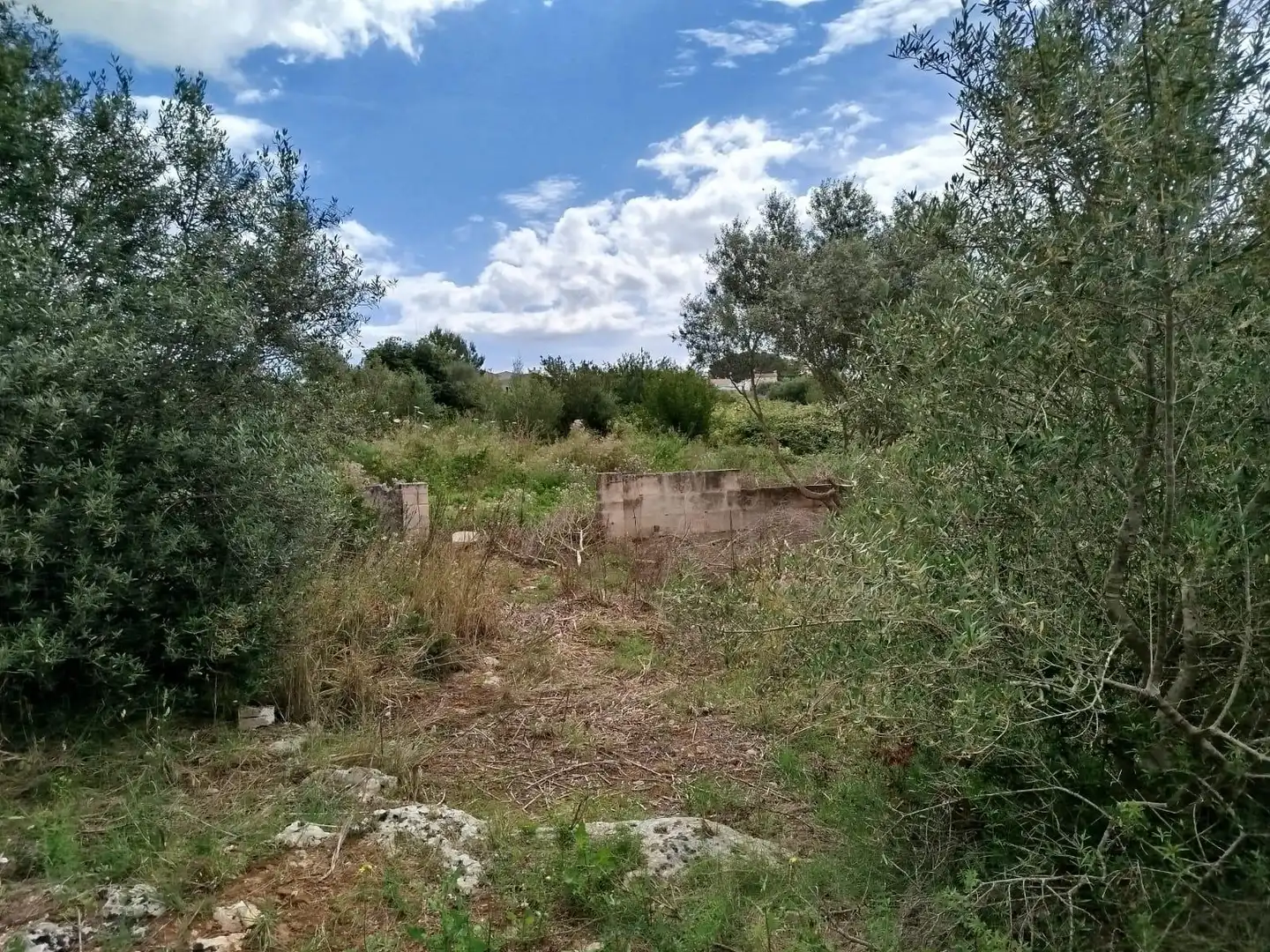 Grundstücke und Bauplätze zum Verkauf in GREGORI CERDO, imagen 20