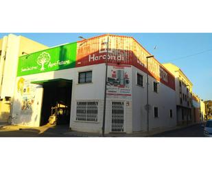 Nau industrial en venda a Pilar, 76, San Pedro del Pinatar ciudad