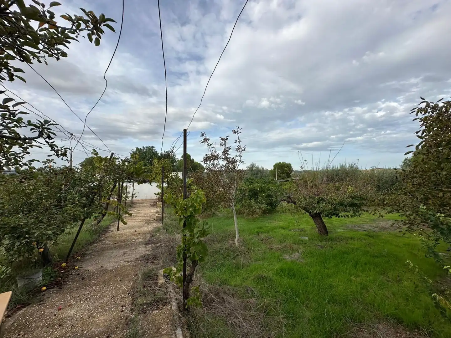 Detached house with pool for sale in Real, imagen 7