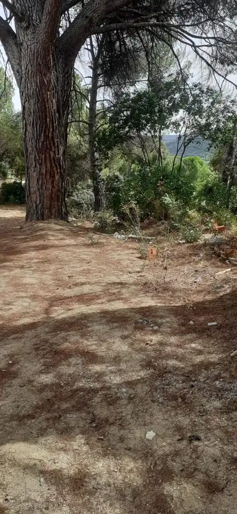 Residencial en venta en Pelayos de la Presa, Madrid