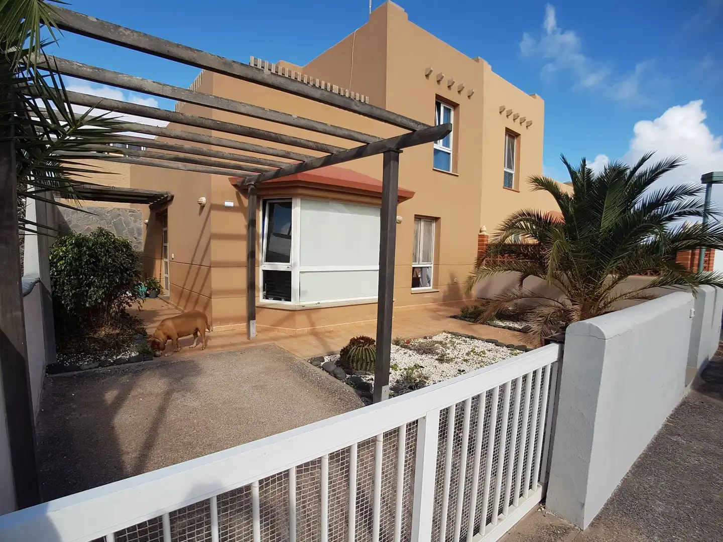 Vista exterior de Dúplex en venta en La Oliva con Jardín privado