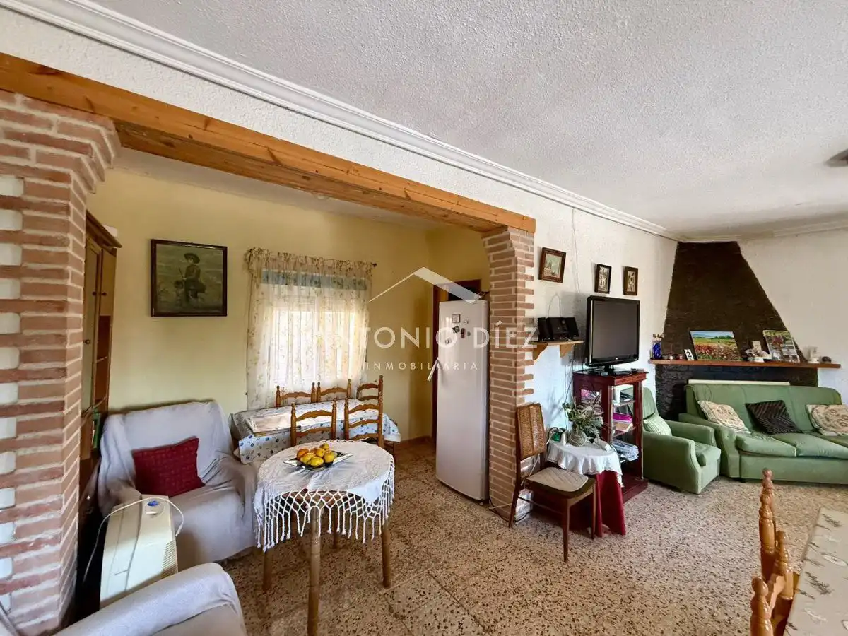 Sala d'estar de Casa o xalet en venda en Aspe amb Terrassa
