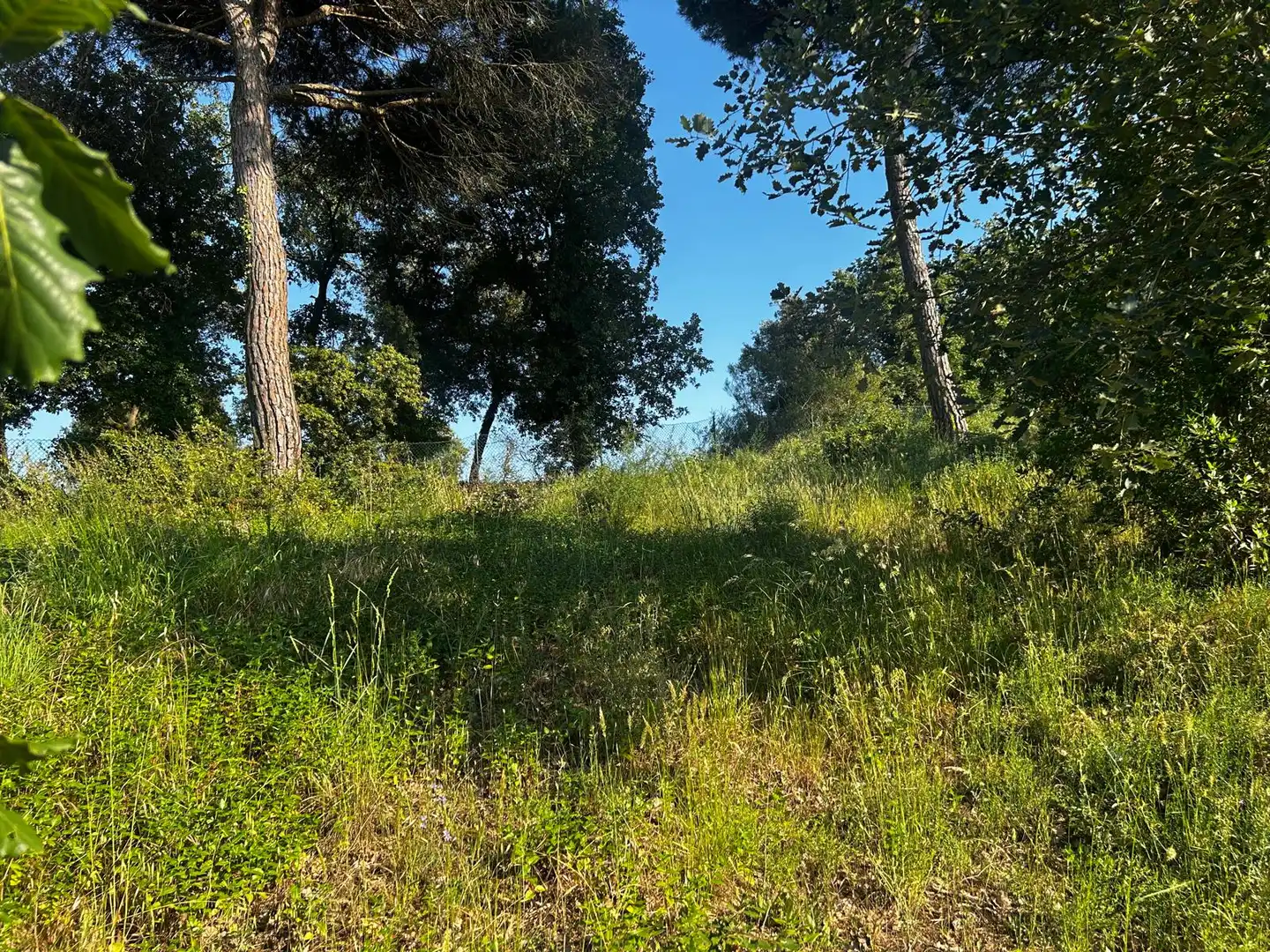 Residential land for sale in Residencial Park, imagen 2