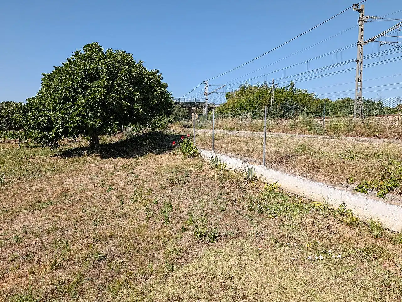 Terreny rústic en venda a La Foia, imagen 6