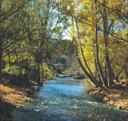 Vista exterior de Finca rústica en venda en Villaviciosa de Odón amb Aire condicionat, Calefacció i Jardí privat