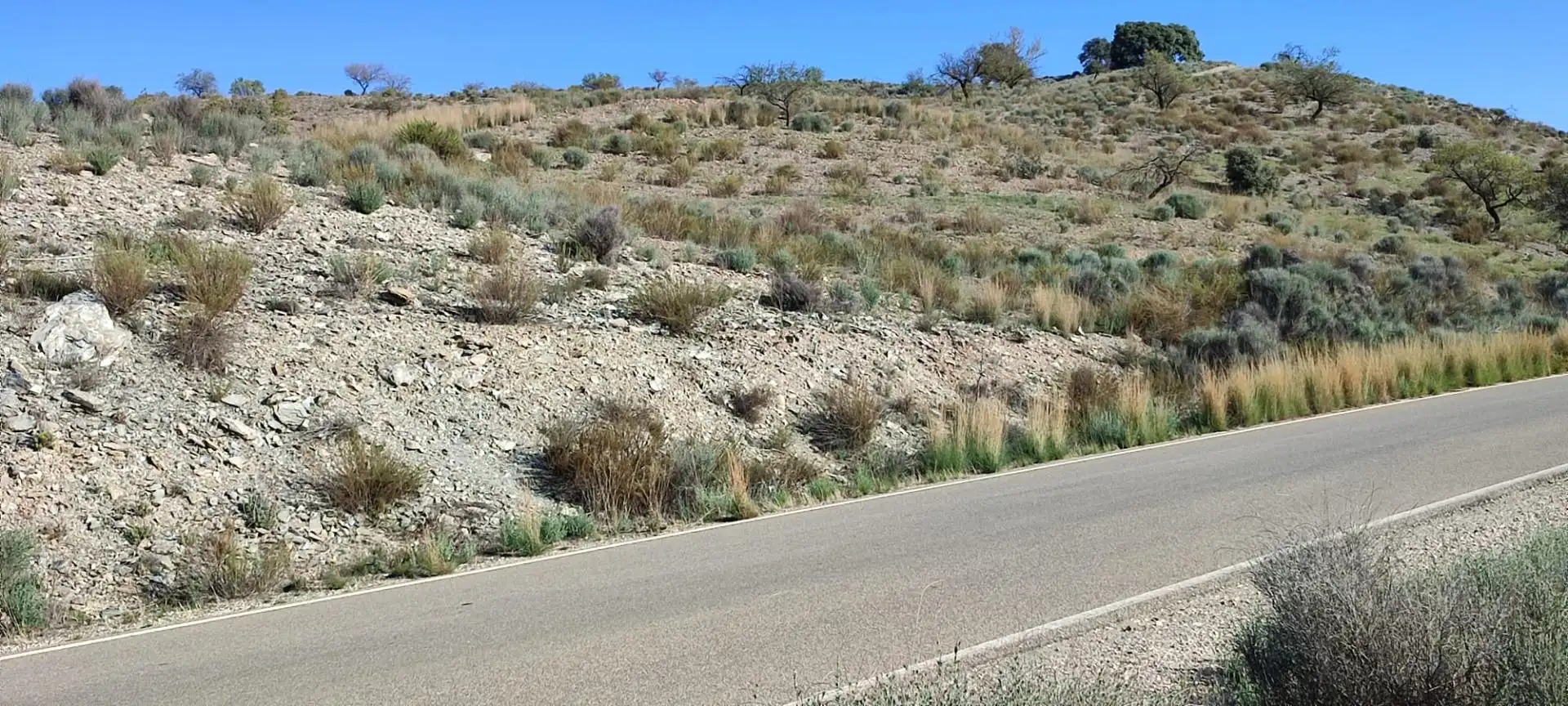 Finca rústica en venta en Lorca con Calefacción