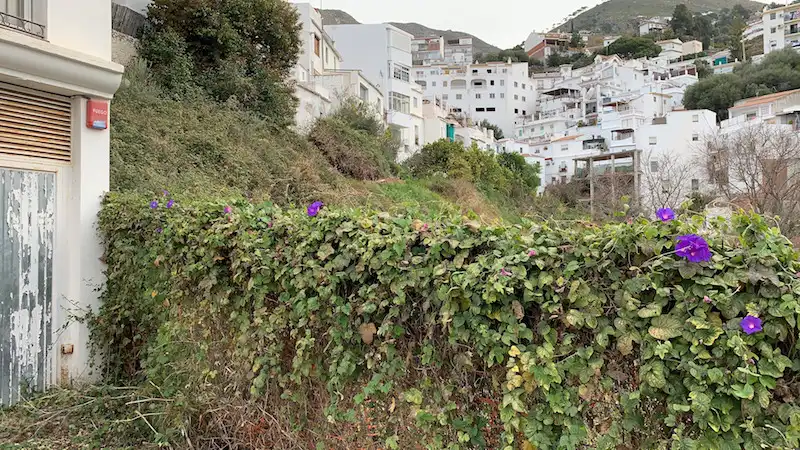 Terreni e lotti in vendita a Cómpeta, imagen 2