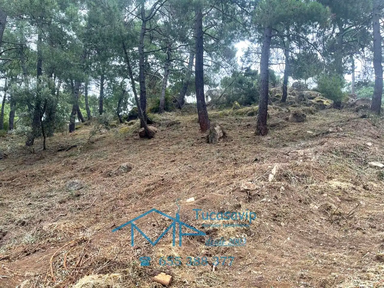 Terreni e lotti in vendita a Cadalso de los Vidrios, imagen 12