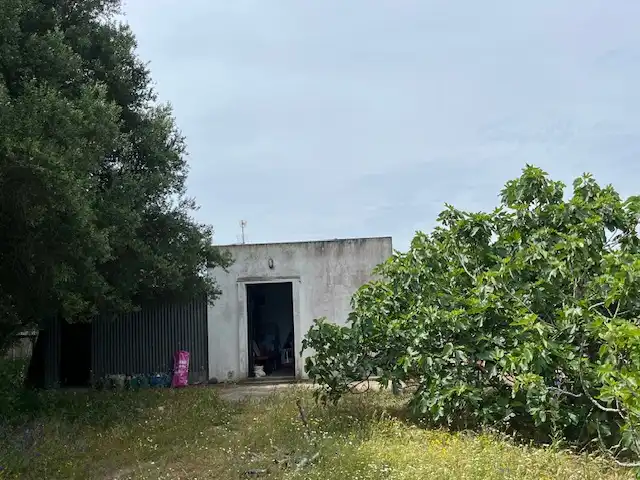 Terreni e lotti in vendita a Zafra