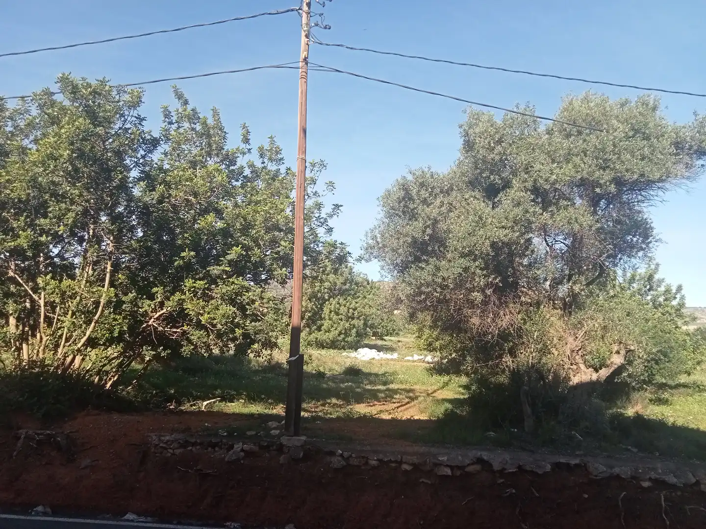 Terreno rustico in vendita a Oeste, imagen 7