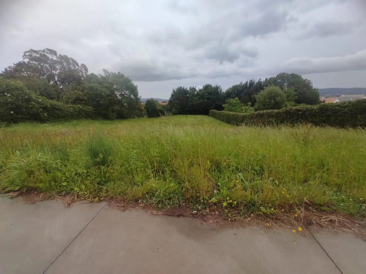 Terreno rústico en venta en Camino de San Pedro 195, imagen 6