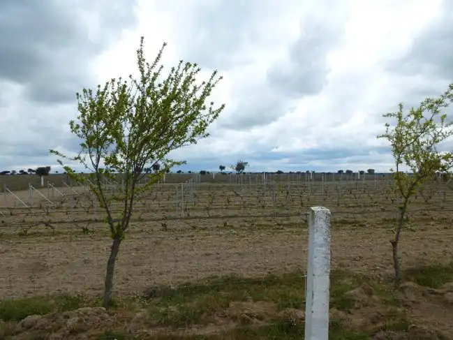 Land for sale in Talavera de la Reina