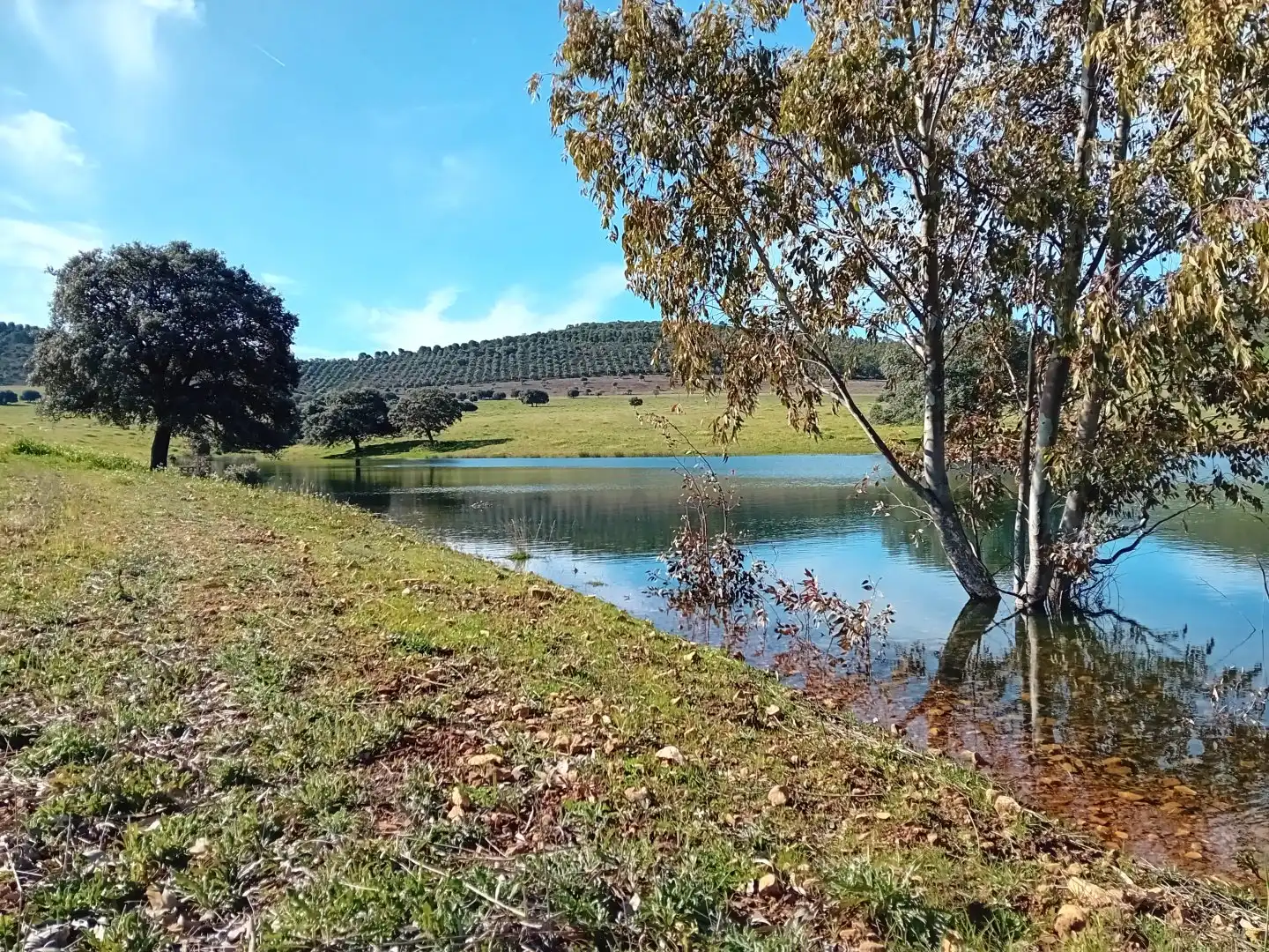 Residential for sale in Puebla de Don Rodrigo