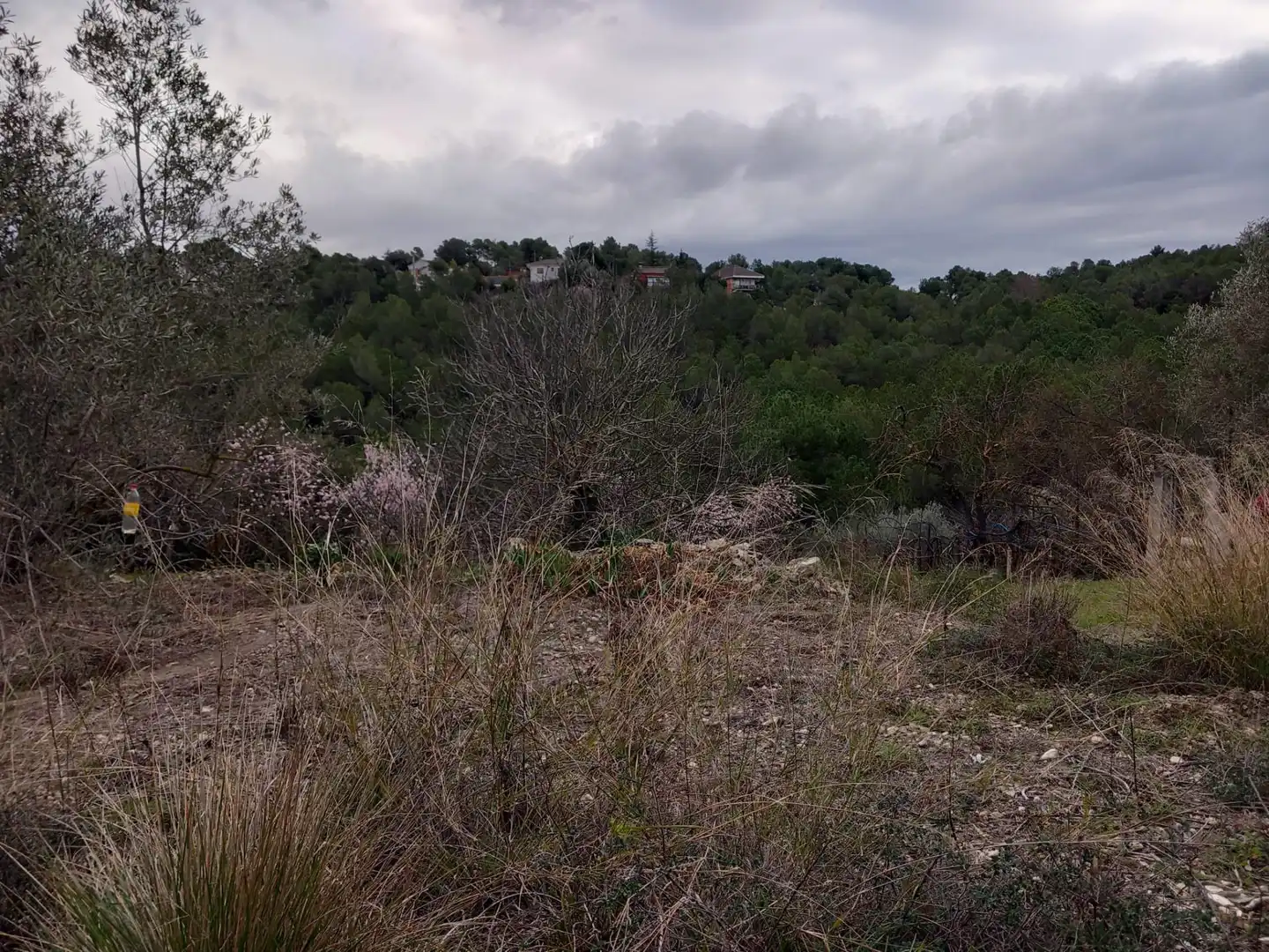 Residential land for sale in Torrelles de Foix, imagen 6