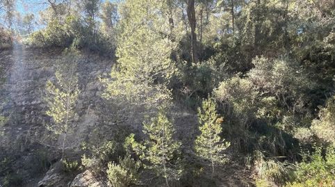 Foto 3 von Grundstücke zum Verkauf in Costa d'en Blanes, Calvià