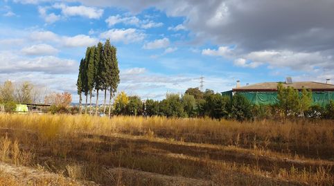 FINCA EN MARACENA