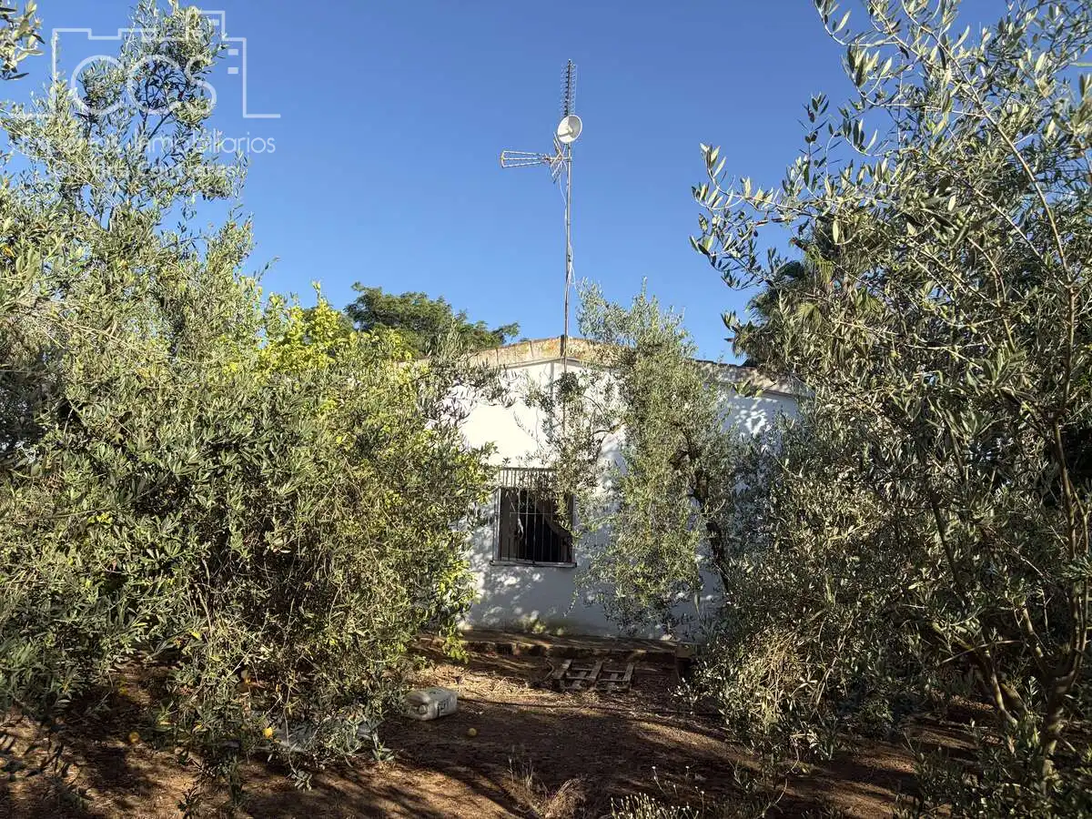 Casa rústica amb piscina en venda a Pilas, imagen 53