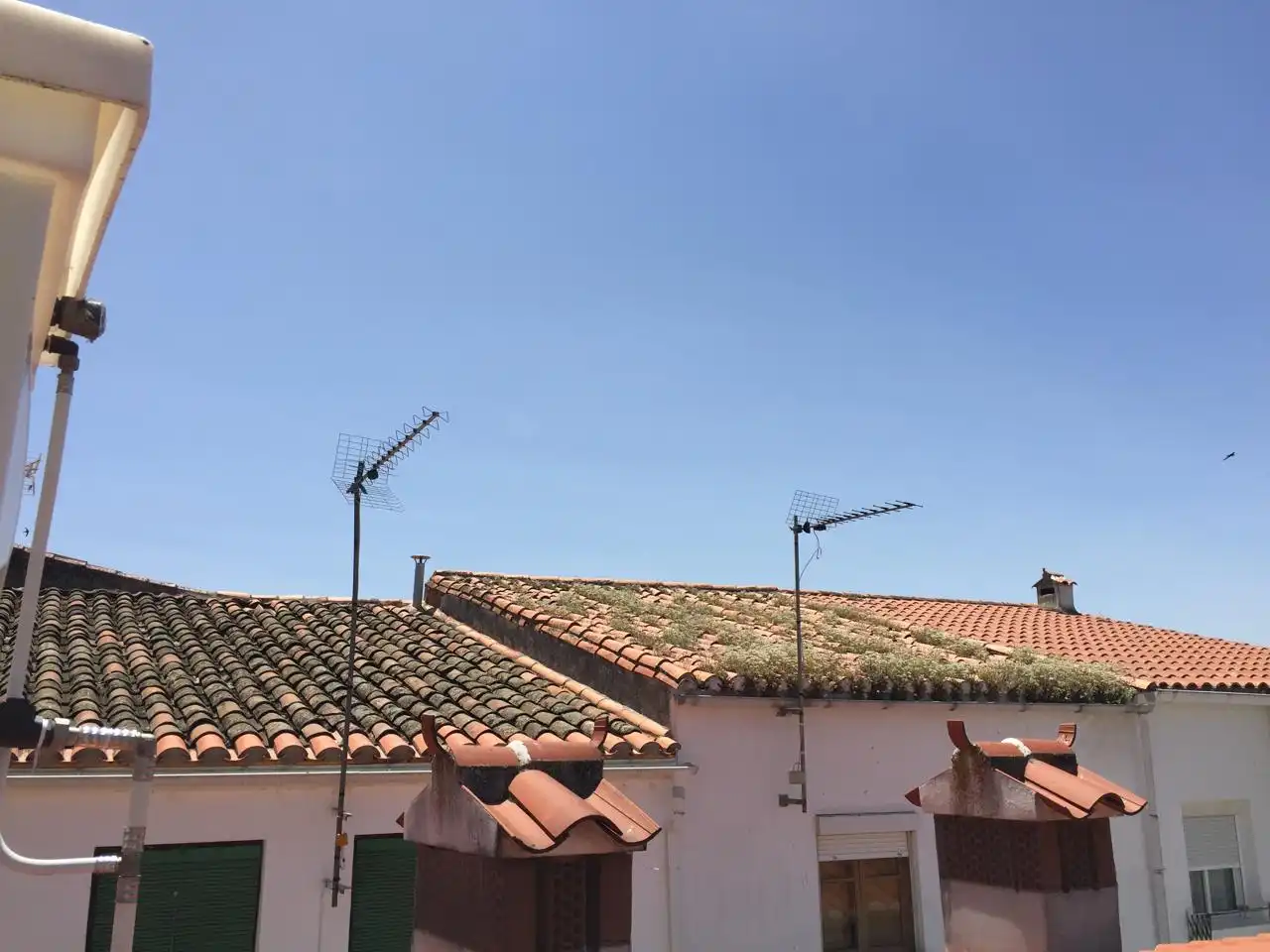 Vista exterior de Casa o xalet en venda en Galisteo