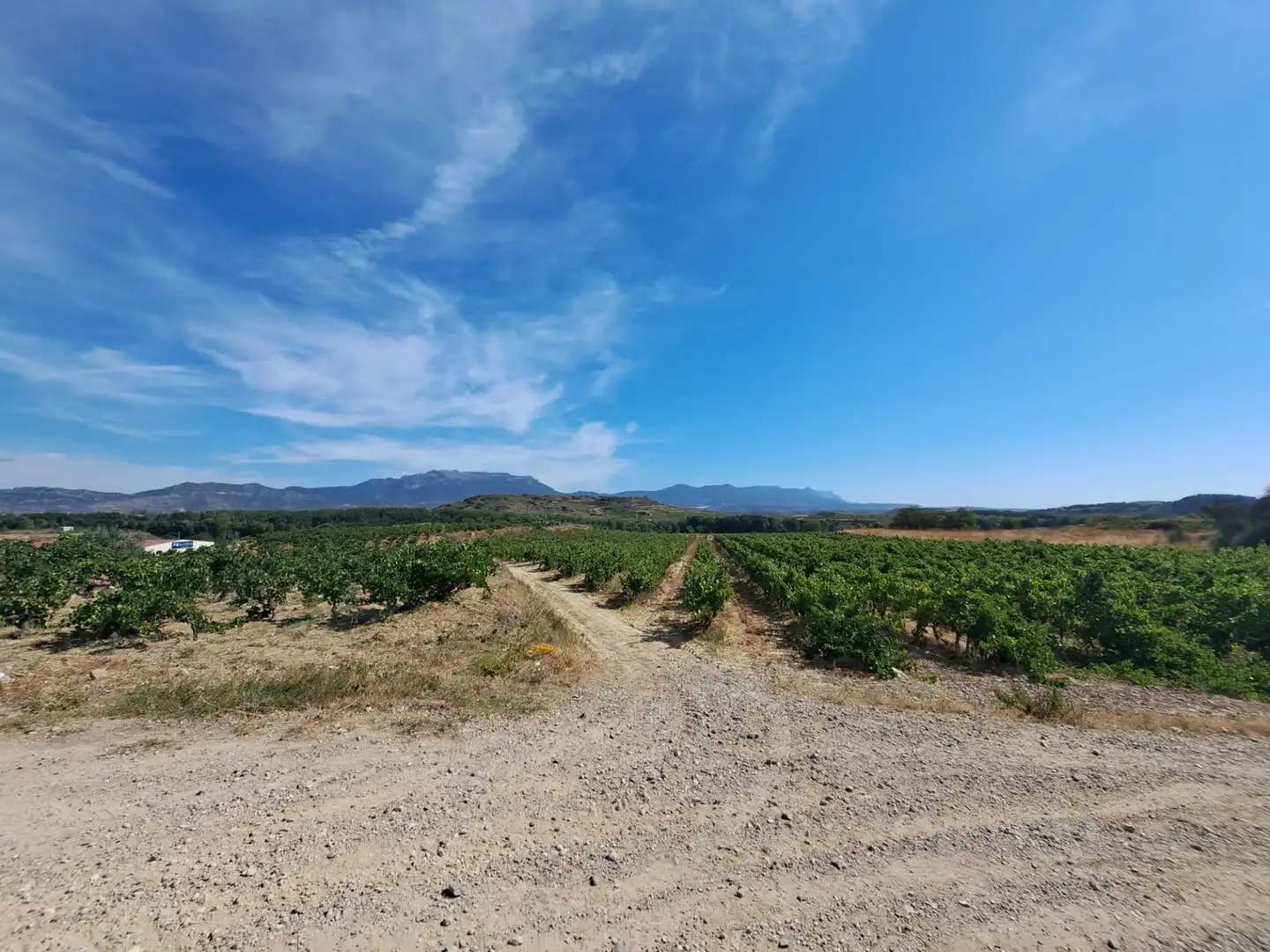 Rural land for sale in Calle Fresnos, imagen 4