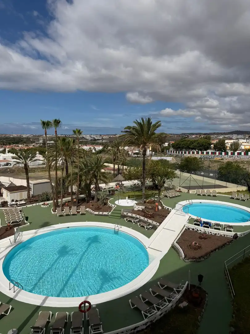 Swimming pool of Apartments for rent in San Bartolomé de Tirajana  with Furnished and Community pool