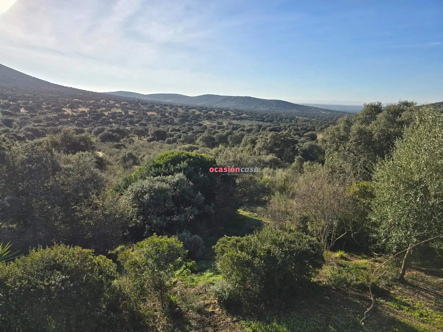 Casa o chalet en venta en Santa Eufemia