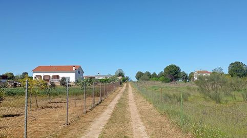 Foto 4 de Casa o xalet en venda a Valdesalor - Rincón de Ballesteros, Cáceres Capital