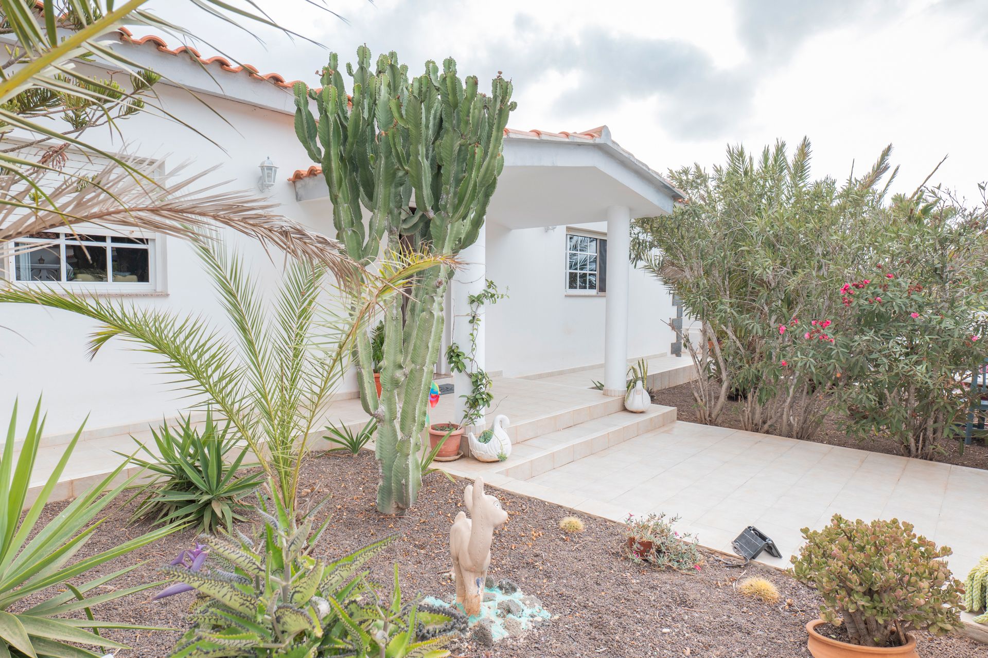 Casa o chalet en venta en Calle Capellanía de la Rosa Blanca, La Oliva pueblo