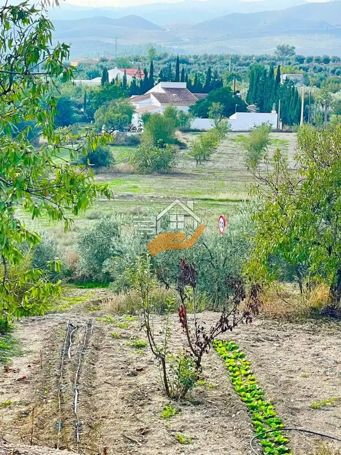 Country homes for sale in Vélez-Rubio