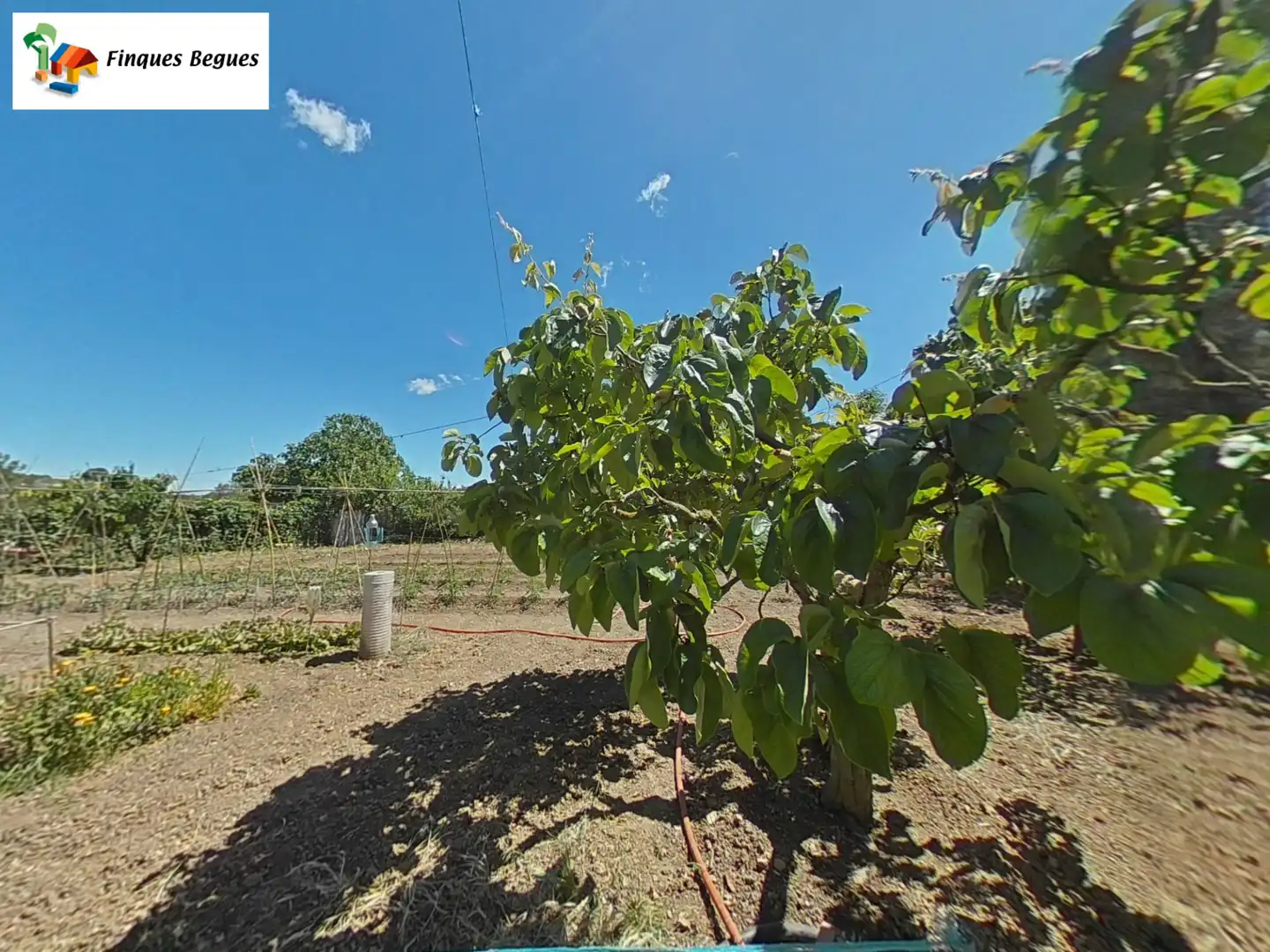 Finca rústica en venda en Begues amb Calefacció, Jardí privat i Moblat