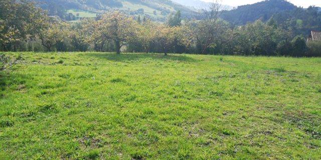 Terreno residencial en Venta en AS-234, 5 en Las Regueras