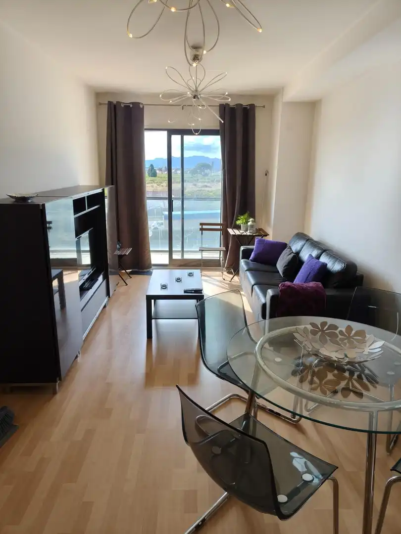 Sala d'estar de Pis en venda en Castellón de la Plana / Castelló de la Plana amb Aire condicionat, Traster i Moblat