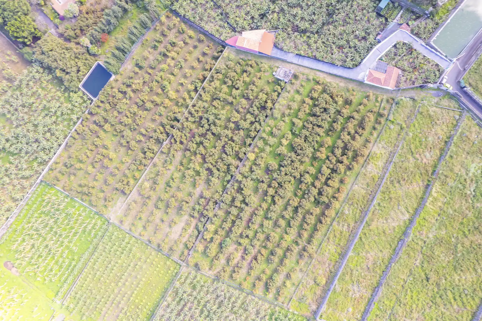 Land for sale in La Orotava