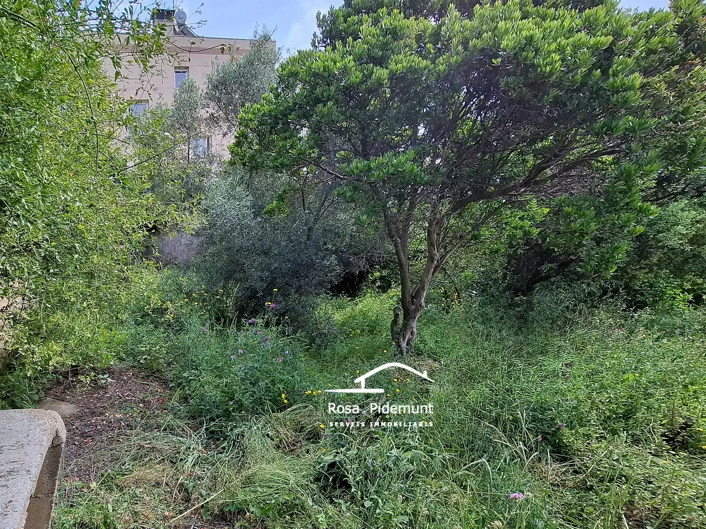 Terreno residencial en venta en Carrer de l'Orquídea, imagen 7