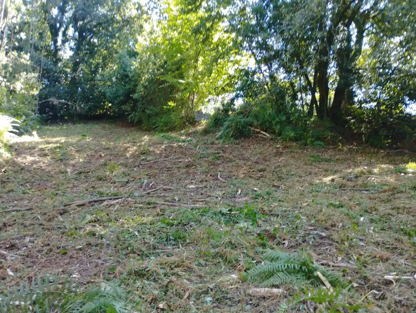 Terreno rústico en venta en Neda, imagen 2