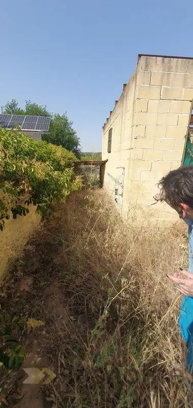 Terreni e lotti in vendita a Carretera de Sevilla - Los Montitos, imagen 10